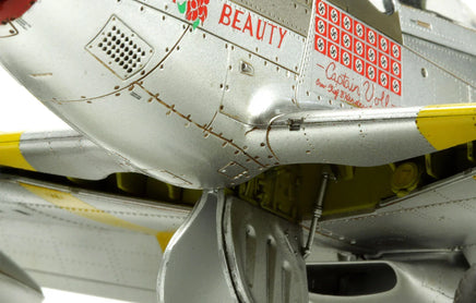 1/48 Meng P-51D Mustang Fighter LS004