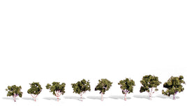 Woodland 3/4" - 1 1/4" Waters Edge Trees - 8/pkg TR3531