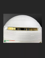 Green Strawberry Fruit Pack Discovery XD-1 BFP24