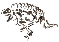 1/32 Bandai Imaginary Skeleton Tyrannosaurus 2569327 - MPM Hobbies