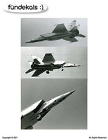 1/48 Fundekals MiG-25 BORT NUMBERS 48019