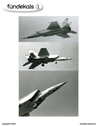 1/48 Fundekals MiG-25 BORT NUMBERS 48019