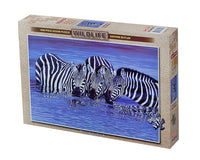 Tomax Puzzles Zebras in the Water 1000pc 100-123
