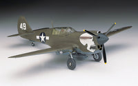 1/72 Hasegawa P-40N Warhawk [U.S. Army Air Force Fighter] 00139