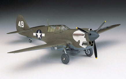 1/72 Hasegawa P-40N Warhawk [U.S. Army Air Force Fighter] 00139
