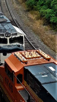 Two trains on a railway track with one orange and black train partially off the tracks.