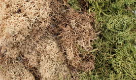 Woodland Game Terrain EZ Bushes - Winter Mix 6500 - MPM Hobbies