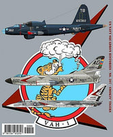 Ginter Books - Smokin' Tigers, RVAH-I 307