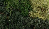 Woodland Game Terrain EZ Bushes - Summer Mix 6501 - MPM Hobbies