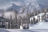 Snow-covered mountains and trees in a winter landscape
