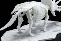 Bandai Limex Skeleton Triceratops 2569527