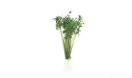 Woodland Dark Green Shrubs 6632