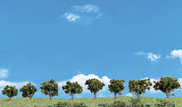 Woodland 3/4" - 1 1/4" Deciduous Trees - 8/pkg SP4148
