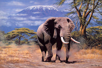 Tomax Puzzles Elephant in Amboseli 1000pc 100-119