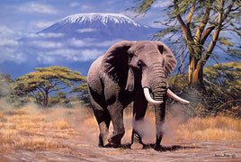 Tomax Puzzles Elephant in Amboseli 1000pc 100-119