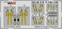1/48 Eduard F-14D SPACE SPACE for GREAT WALL HOBBY kit 3DL48215