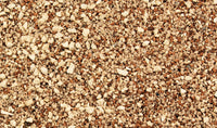 Woodland Gravel SP4190