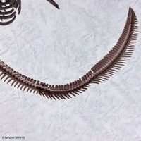 1/32 Bandai Imaginary Skeleton Mosasaurus 2668294