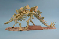 1/25 Glencoe Stegosaurus Skeleton 07907