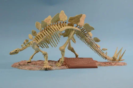 1/25 Glencoe Stegosaurus Skeleton 07907
