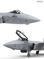 1/48 Meng Chinese J-20 Stealth Fighter LS002