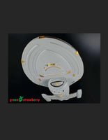 Green Strawberry Combo Pack USS Voyager NCC-74205 FP18