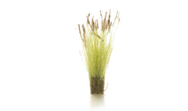 Woodland Cattails 6633