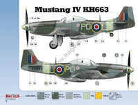 Kagero Publishing 1/48 Mustangs Over Europe Part 1. Nos. 303 & 309 Book 48003