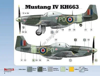 Kagero Publishing 1/48 Mustangs Over Europe Part 1. Nos. 303 & 309 Book 48003