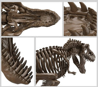 1/32 Bandai Imaginary Skeleton Tyrannosaurus 2569327 - MPM Hobbies