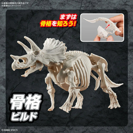 Bandai Plannosaurus Triceratops 2639637