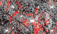 PineCar Body Skin - Spider Web 3983