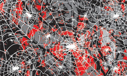 PineCar Body Skin - Spider Web 3983