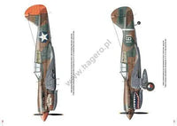 Kagero Publishing Curtiss P-40 Vol. I Book 55004