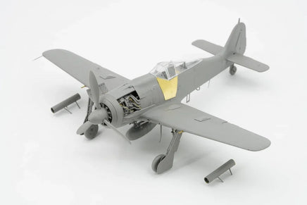 1/35 Border Model Focke-Wulf FW-190A-8 BF009