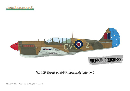1/48 Eduard P-40N Warhawk Royal Class Plastic Model Kit R0025