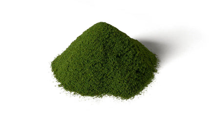 Woodland Game Terrain Spring Grass 6436 - MPM Hobbies