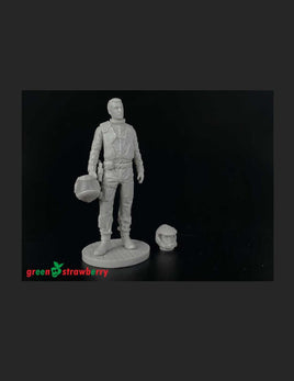 Green Strawberry Colonial Pilot 132009