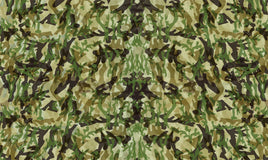 PineCar Body Skin - Camouflage 3978