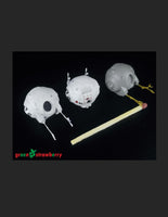 Green Strawberry Combo Pack Discovery XD-1 FP05