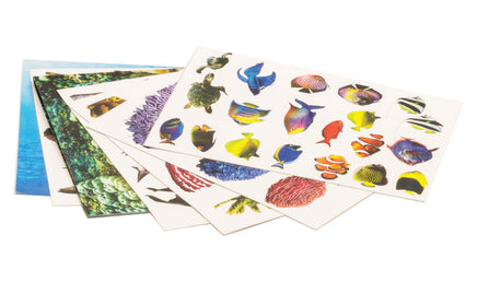 Woodland Ocean Kit SP4242