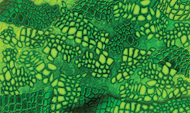 PineCar Body Skin - Gator 3979