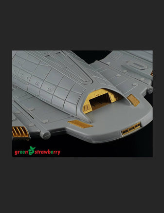 Green Strawberry Combo Pack USS Voyager NCC-74205 FP18