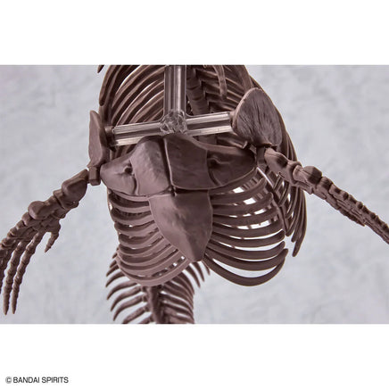 1/32 Bandai Imaginary Skeleton Mosasaurus 2668294