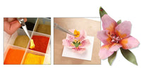 Woodland Paper Flower Pollen - Red T4647