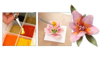 Woodland Paper Flower Pollen - Purple T4648