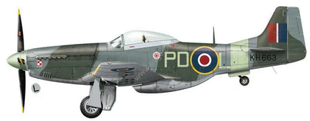 Kagero Publishing 1/48 Mustangs Over Europe Part 1. Nos. 303 & 309 Book 48003