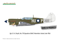 1/48 Eduard P-40N Warhawk Royal Class Plastic Model Kit R0025