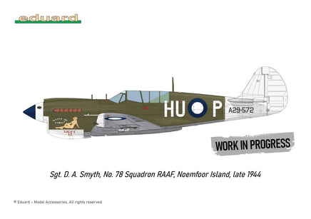 1/48 Eduard P-40N Warhawk Royal Class Plastic Model Kit R0025