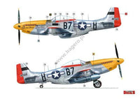 Kagero Publishing P-51 D/K Mustang. Part 1 Book 48004